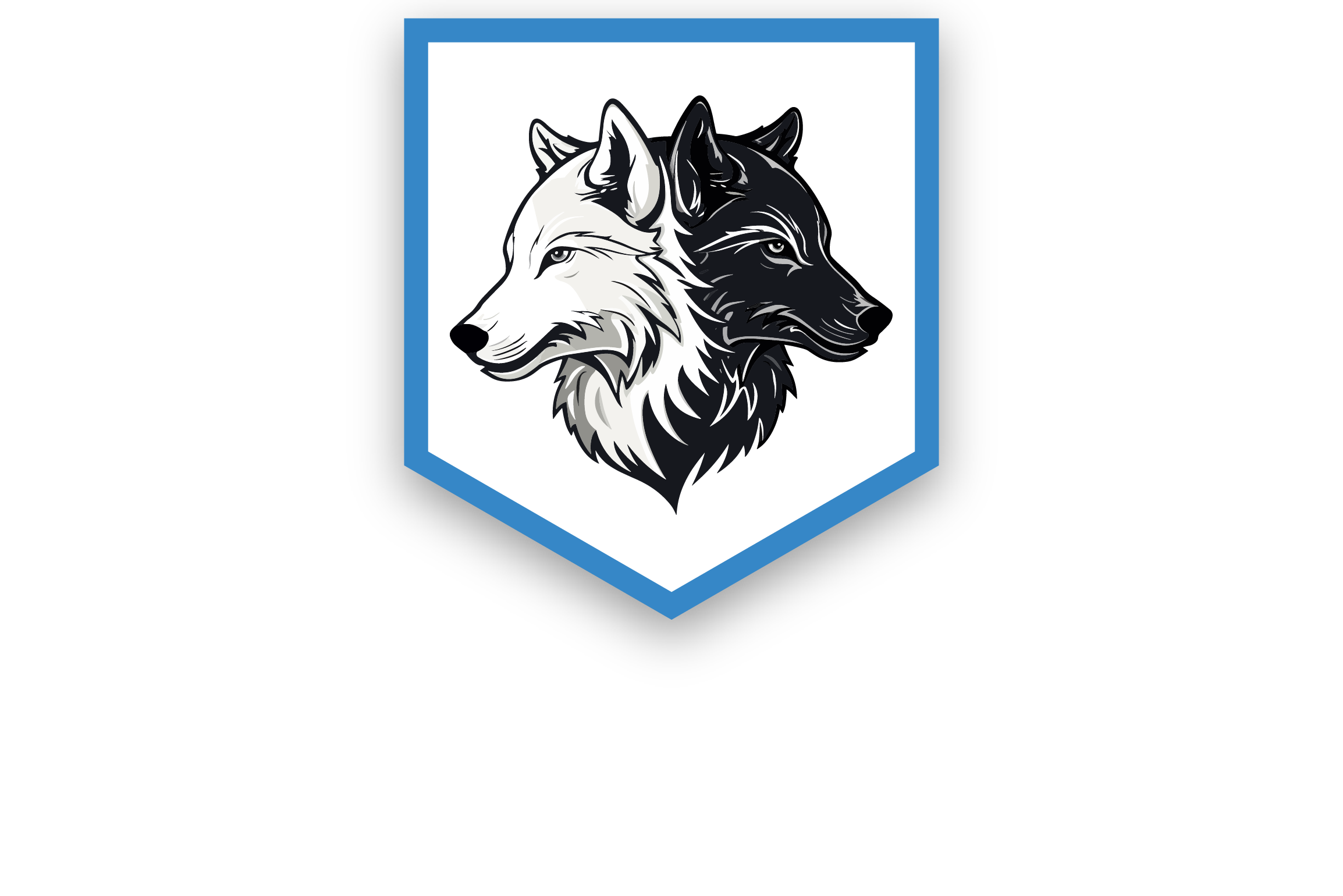 Randolph Thom Limited